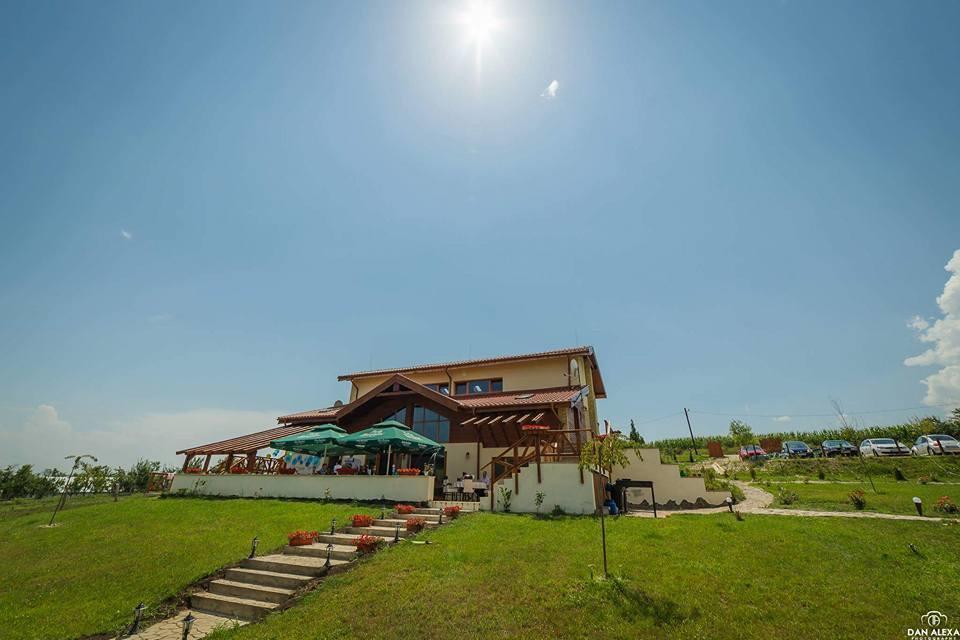 Agropensiunea Cosette Benic Exterior foto